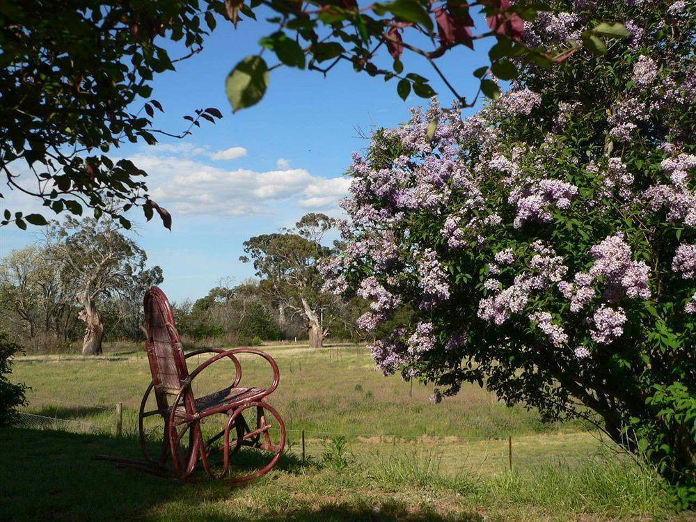 Redcliffe House Colonial Bed & Breakfast 스완지 외부 사진